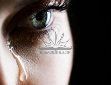 Debilidades aceptadas socialmente