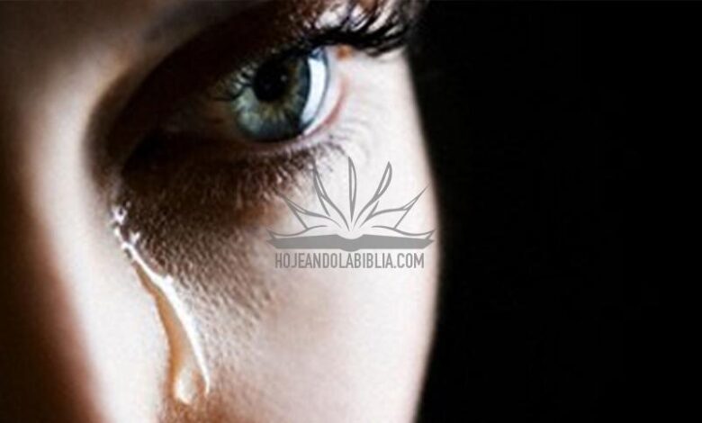 Debilidades aceptadas socialmente