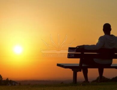 Una regla que otorga la paz