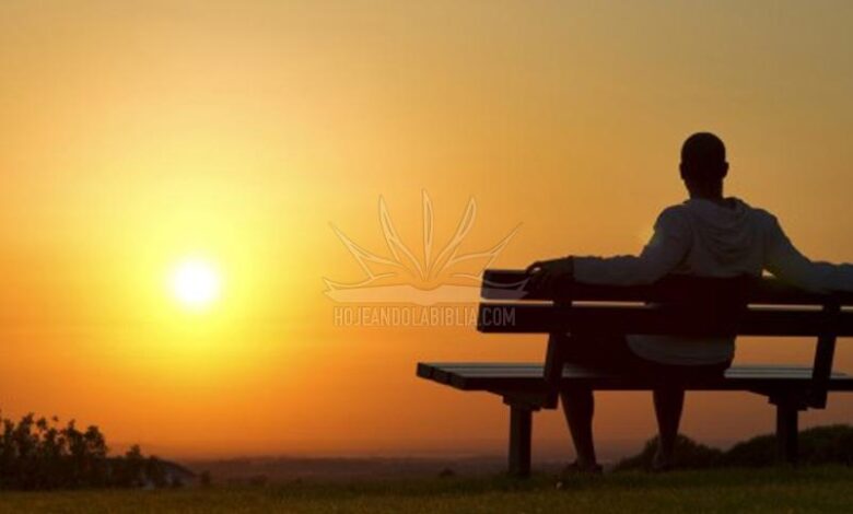 Una regla que otorga la paz