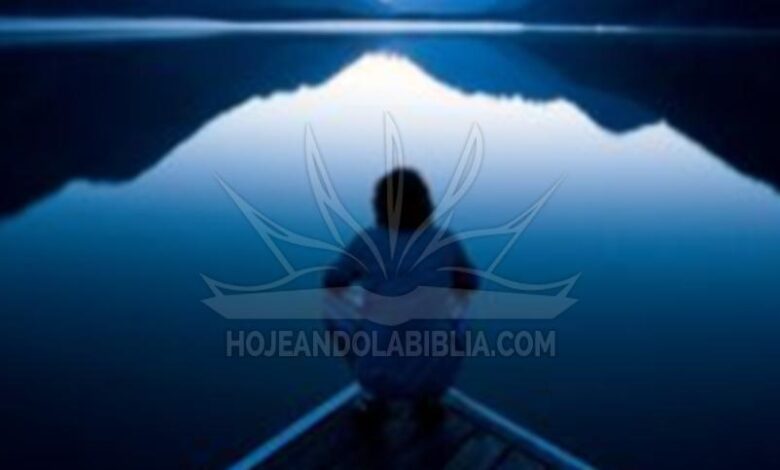 Mi papel ante la voluntad de Dios