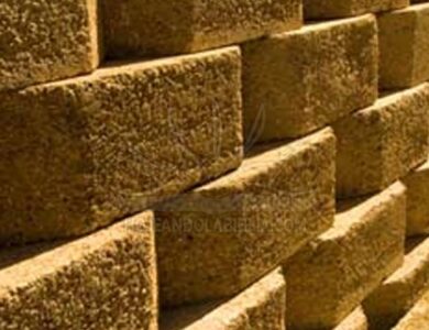 Integridad en los procesos