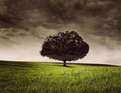 ¡Atención! la tierra agoniza