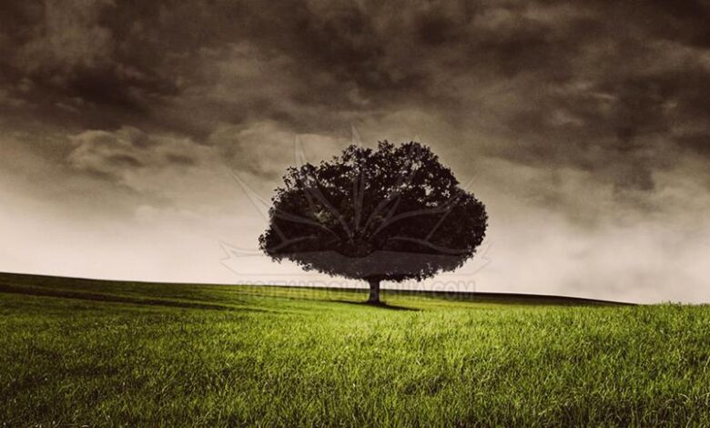 ¡Atención! la tierra agoniza