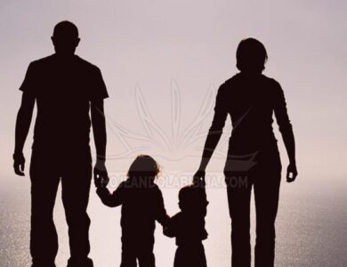 Volvamos al modelo de familia divino