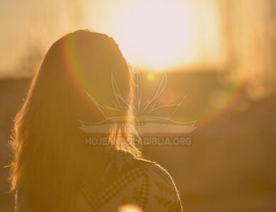 El poder de la gratitud