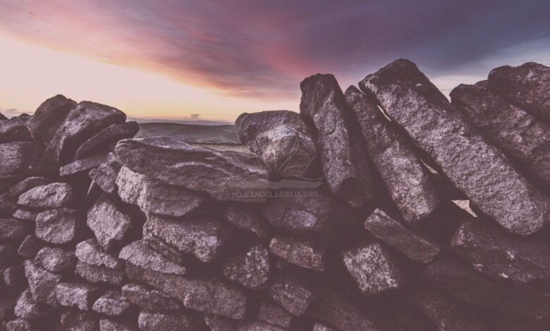 Levantando los muros caídos