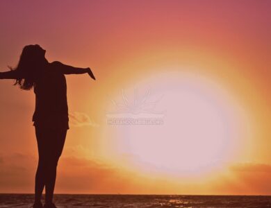 Disfruta de su Compañía