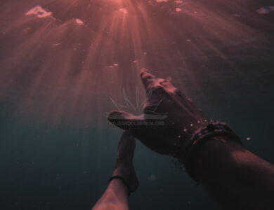 Creado para vivir sin miedo