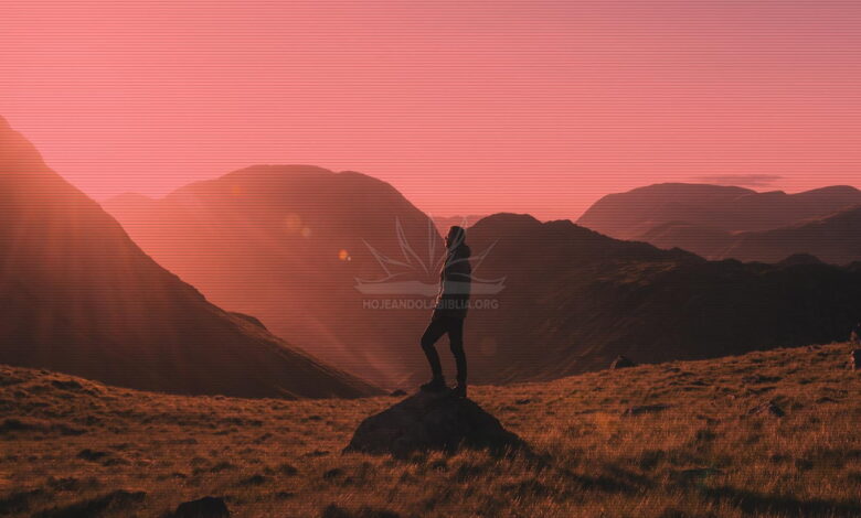 Procura conocer a Dios