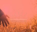 Descubre la Tranquilidad Emocional